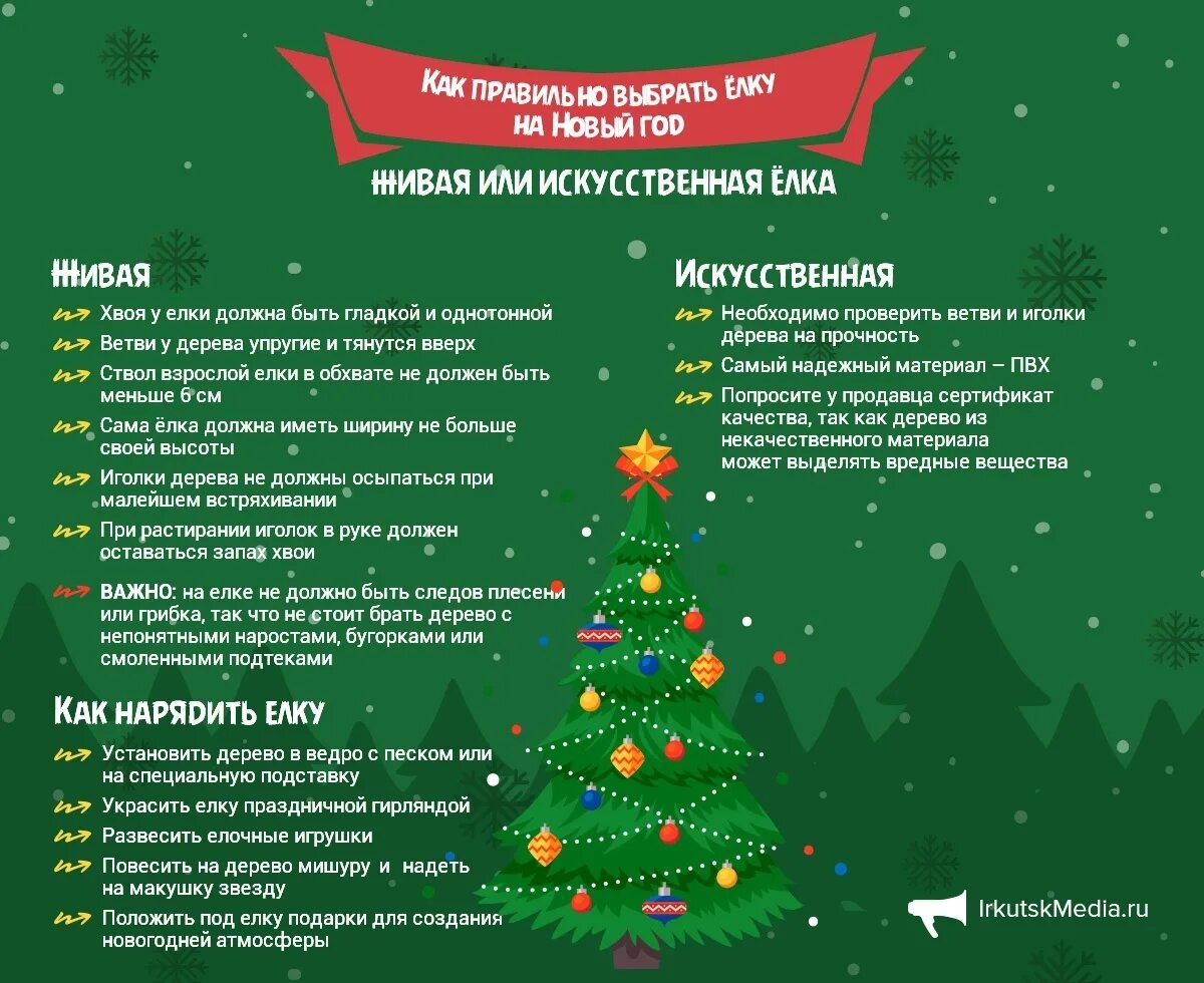 Какую елку поставили. Новогодняя инфографика. новогодняя елка инфографика. инфографика к новому году. какую живую елку выбрать.