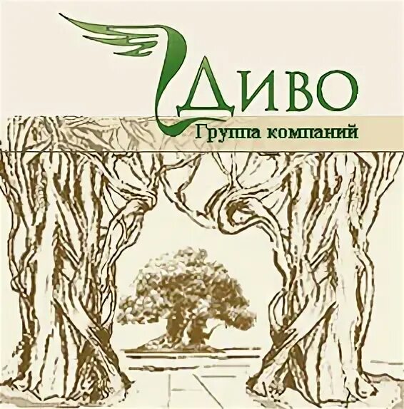 ооо диво. диво двери. компания диво. диво интернет. компании по доставке воды москва.