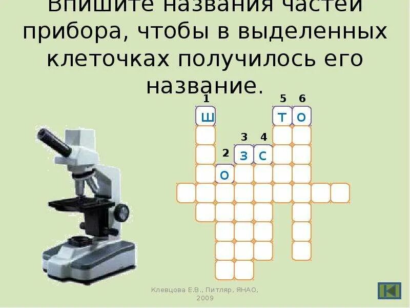 Кроссворд живые клетки. Впишите название прибора. Кроссворд на тему увеличительные приборы. Кроссворд на тему микроскоп. Кроссворд ткани растений.