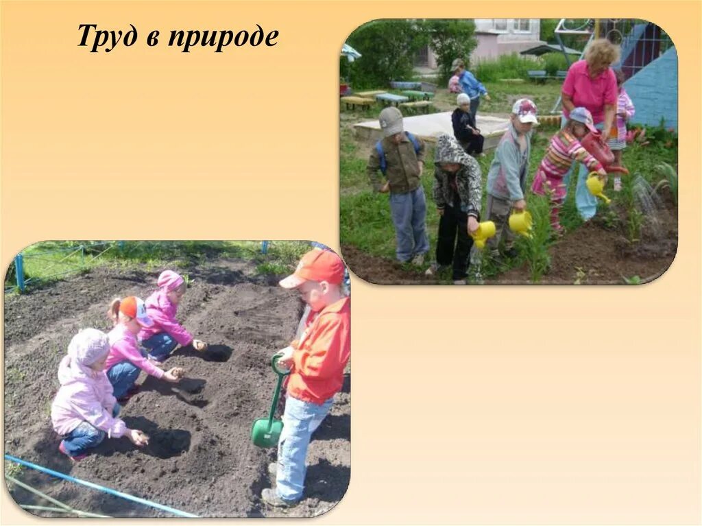 Труд дошкольников. Труд в природе. Труд детей в природе. Труд в природе в детском саду. Трудовая деятельность и ее организация