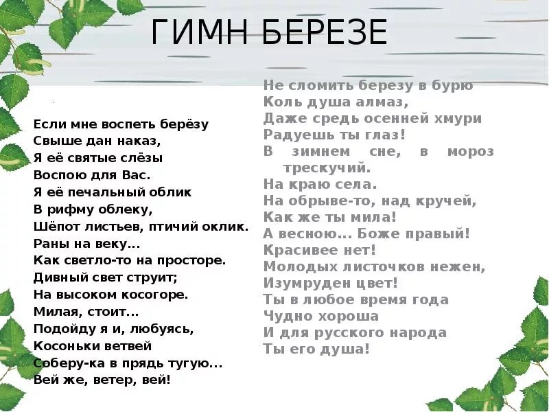 Детские песни березка