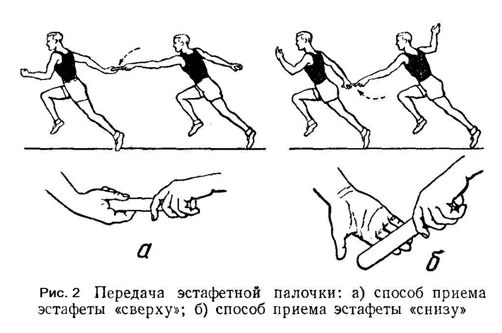 6 этапов эстафеты. Техника эстафетного бега передача палочки. Эстафетный бег техника. Техника передачи эстафетной палочки в легкой атлетике. Технику передачи эстафетной палочки в эстафетном беге.