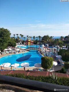 Palmeras beach hotel отзывы