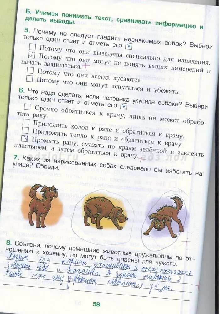 рабочая тетрадь по окружающему миру 3 класс школа россии 1 часть стр 60. гдз по окружающему миру 3 класс рабочая тетрадь стр 58. гдз окружающий мир 3 класс рабочая тетрадь страница 55 56. окружающий мир 3 класс рабочая тетрадь 1 часть плешаков стр 55-56-57. окружающий мир 1 класс рабочая тетрадь плешаков стр 58.