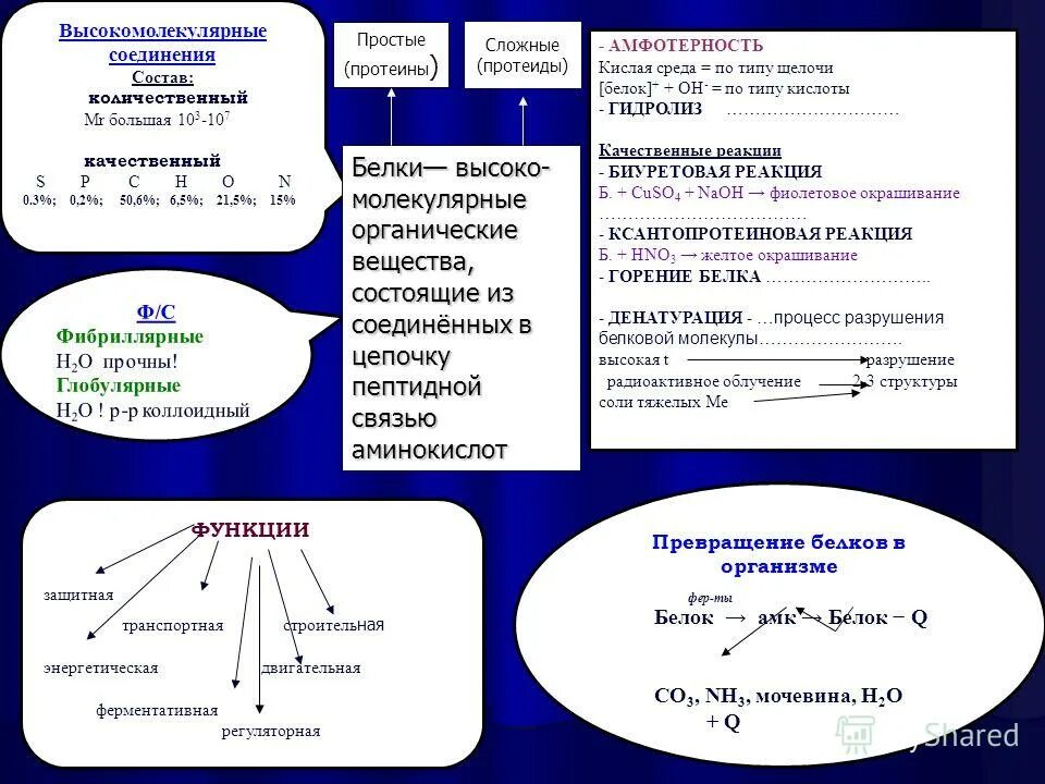 Белки высокомолекулярные соединения. Роль регуляторных белков в мышечном сокращении. Превращение белков в организме химия. Простые белки протеины состав. Роль регуляторных белков в сокращении.