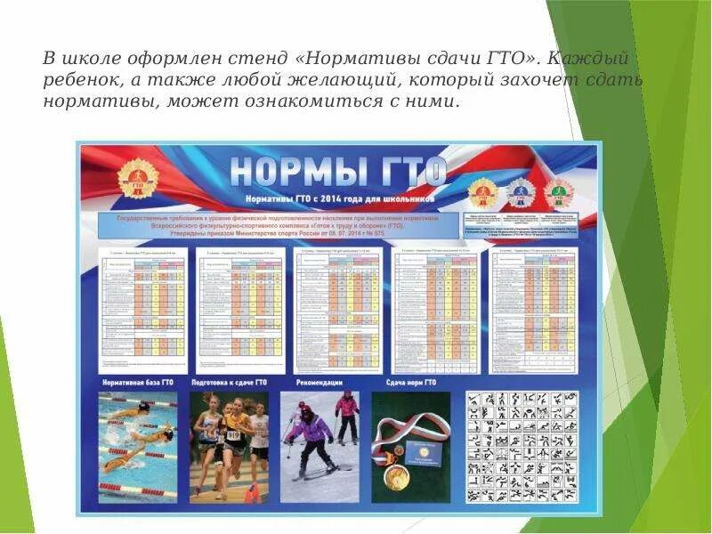Стенд гто. Нормативы гто стенд. школьный стенд гто. нормативы школа стенд.