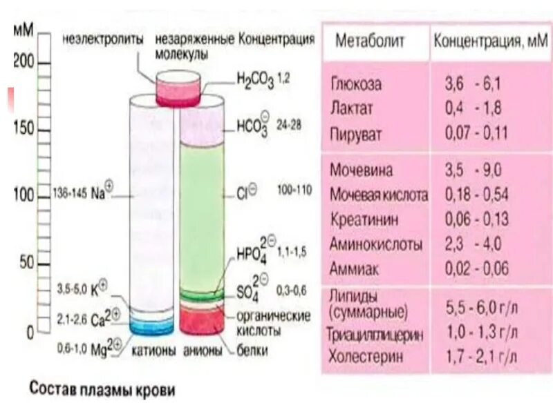 Общего белка глюкозы креатинина. Биохимия крови презентация. Биохимия крови ppt. Состав крови биохимия презентация. Биохимия крови молекулы.