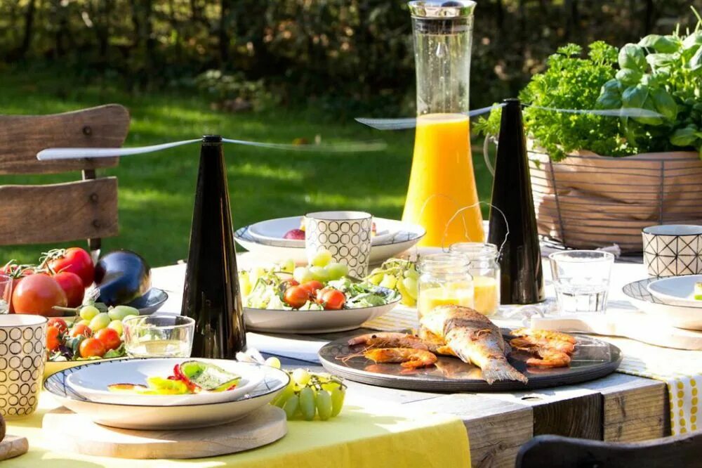 Трапеза на природе 6. Трапеза на открытом воздухе. outdoor table. fly repellent. outdoor food.