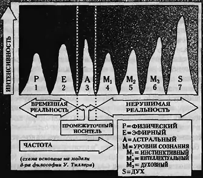 Частота органов человека. Частота человеческого тела. Частоты органов человека. Целебные частоты. Частота органов человека в Герцах.