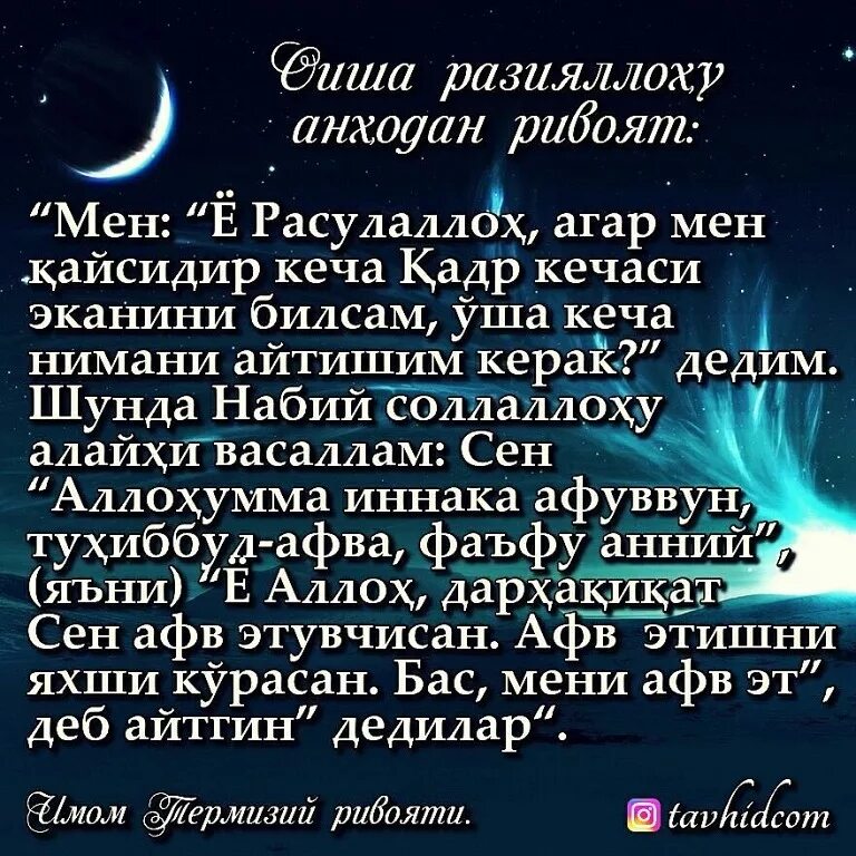 Кадр кечаси укиладиган сура. Кадр сураси. Лайлатуль Кадр кечаси дуо. Кадир Сура. Қадр кечаси.