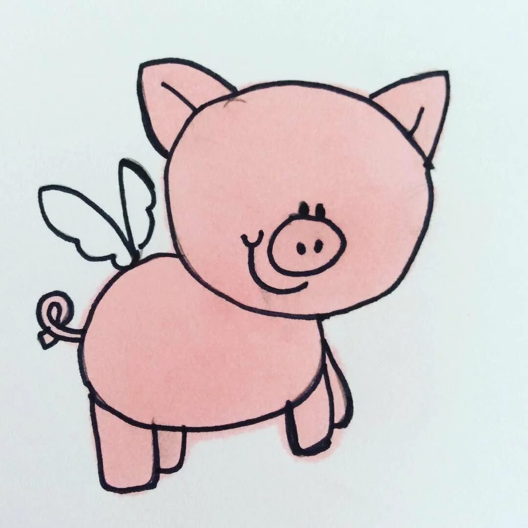 Просто свинка. Поросенок рисунок. Нарисовать поросенка. Нарисовать свинью. Свинья рисовать.
