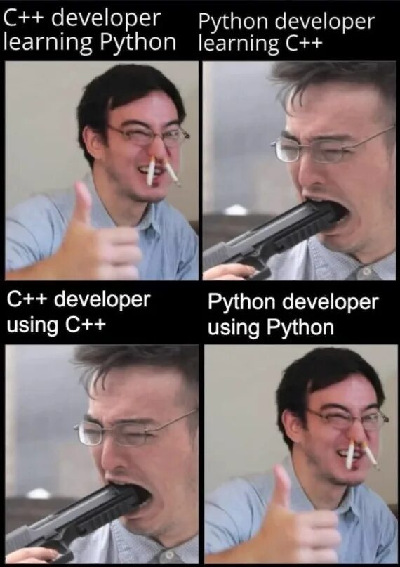 C joke. Программист на питоне Мем. Шутки про языки программирования. C++ приколы. Языки программирования юмор.