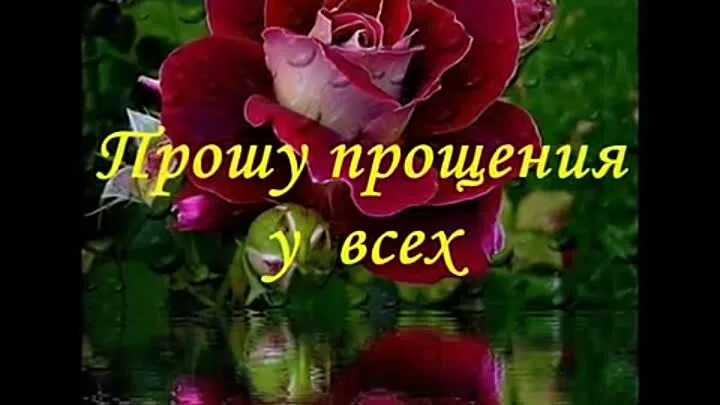 красивое видео прости. ролик прости. прощеное воскресенье тик ток. прости что не могу тебя поздравить. тик ток с прощенным воскресеньем.