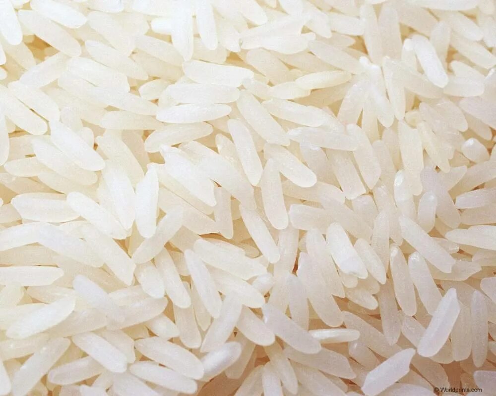 White rice. Рис Лазарь. Девзира белая. Рис белый девзира. Ташкентский рис.