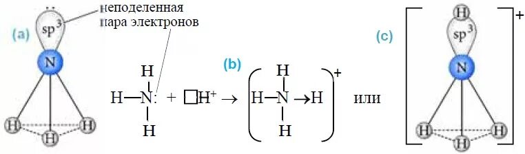 Nh4 строение. Пространственное строение молекул nh3. геометрическое строение молекулы аммиака.