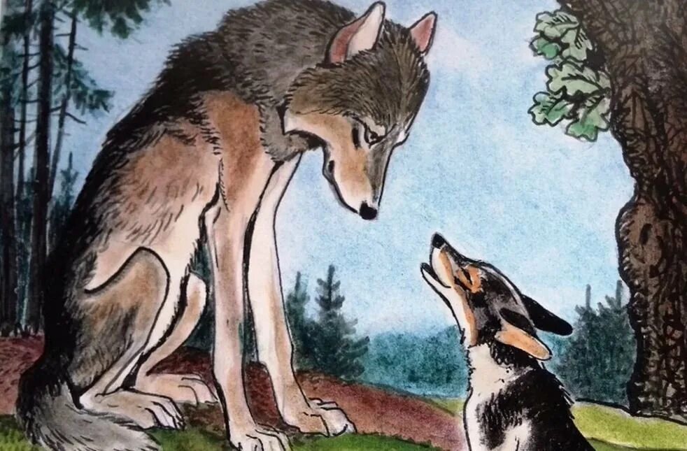 Волк и собака толстой. Волк и собака иллюстрация. Собака и волк сказка. Мордовская сказка как собака друга искала иллюстрации. Как собака себе друга искала Мордовская сказка.