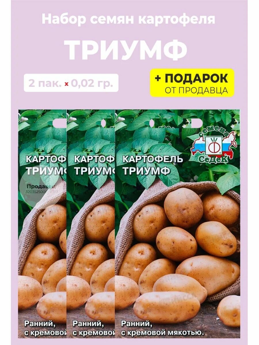 Картофель Триумф: описание сорта, фото, характеристика, отзывы