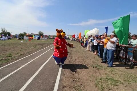 Оконешниково золотая нива