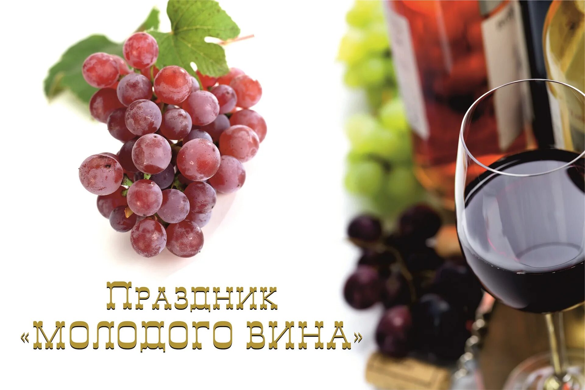 Поздравления с днем выпивания вина. Международный день вина. День красного вина 28 августа картинки прикольные. День красного вина 28 августа картинки прикольные. День красного вина 28 августа поздравления.