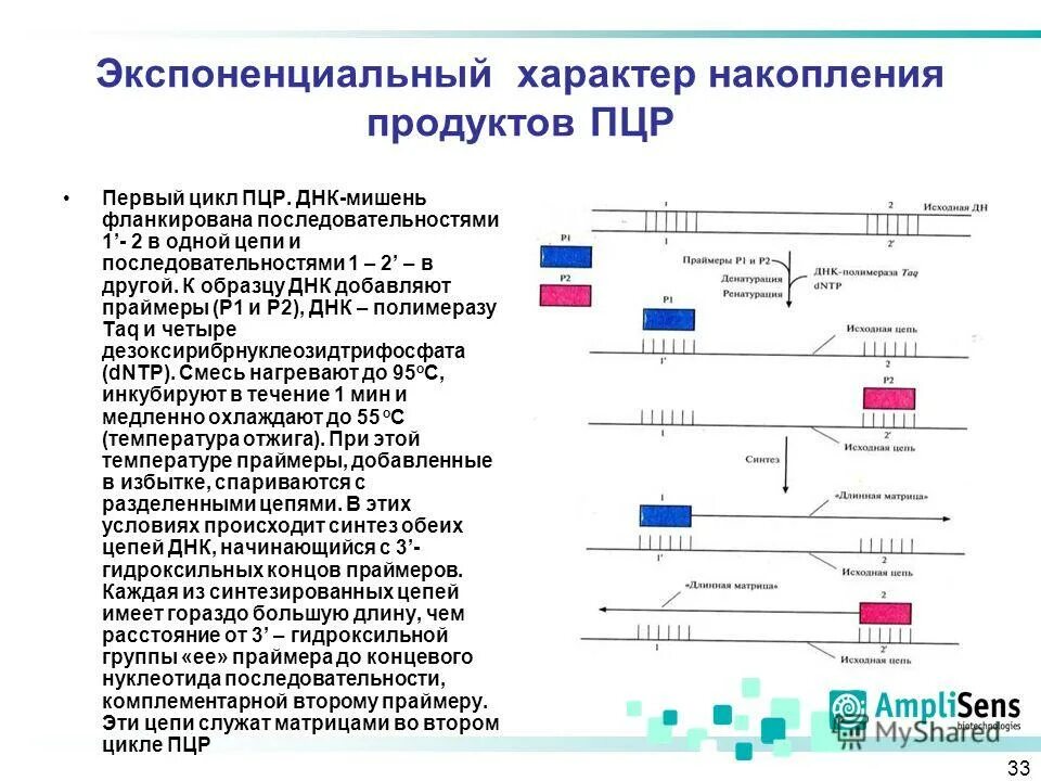 пцр механизм реакции. схема цепной реакции пцр. схема днк-полимеразной реакции. схема полимеразной цепной реакции микробиология. схема двух циклов пцр микробиология.