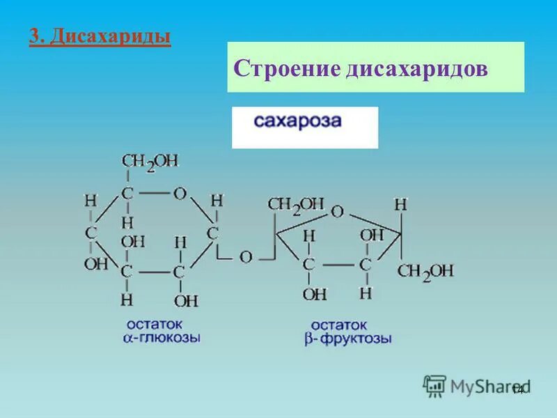 Тест 2 углеводы