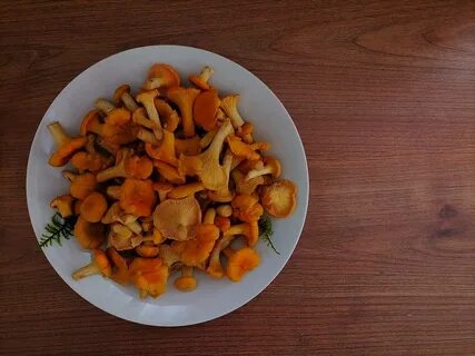 Лисички морковь лук