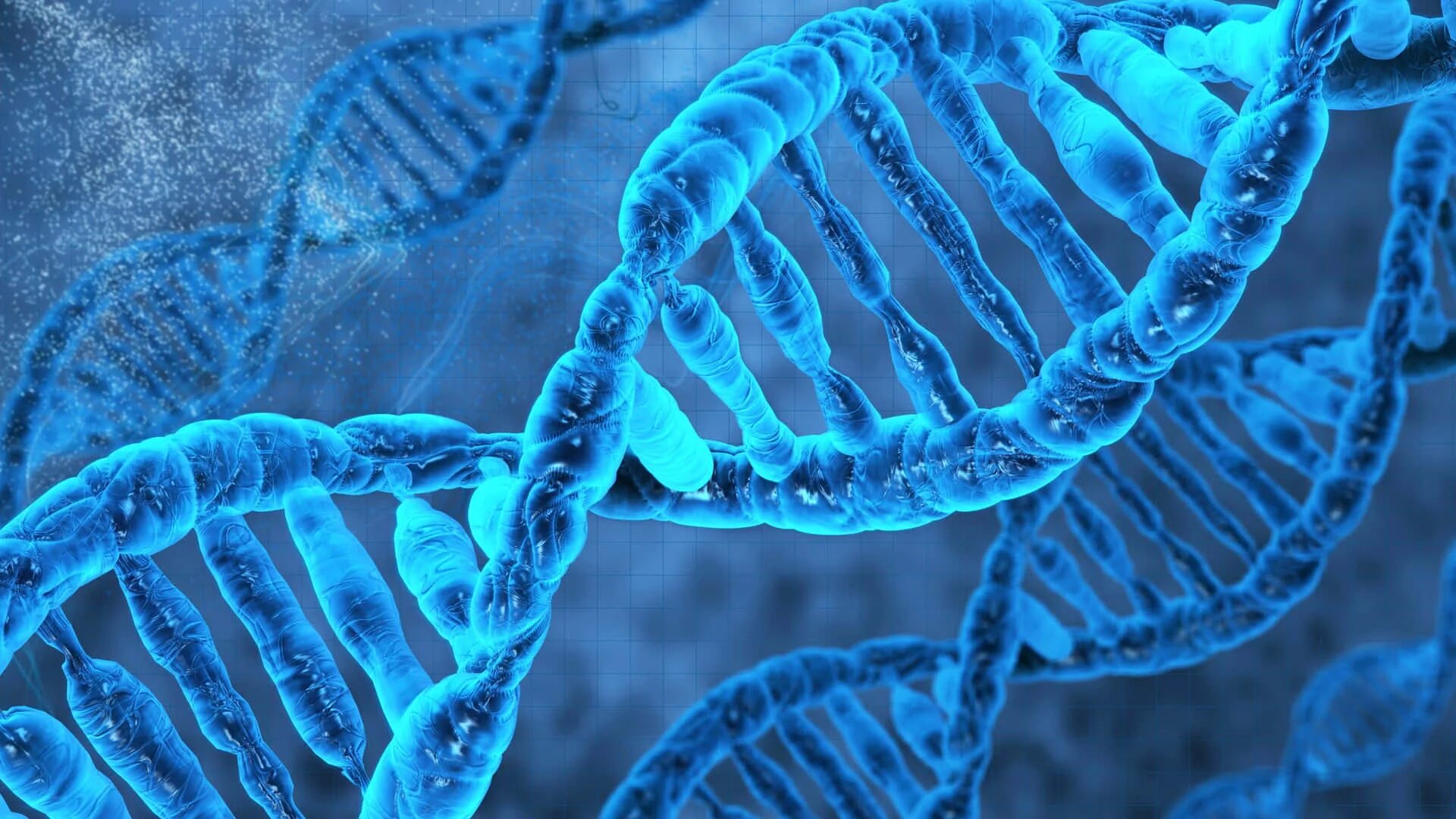 Молекула ДНК человека. ДНК DNA. Генетика ДНК. ДНК красивое.