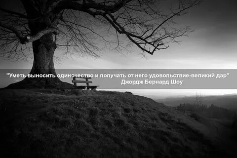 Одиночество без