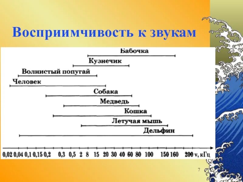 Слышимый звук это в физике. Звуковой диапазон. Диапазон слышимых звуков. Звуковой диапазон животных. Звуковой диапазон человека.