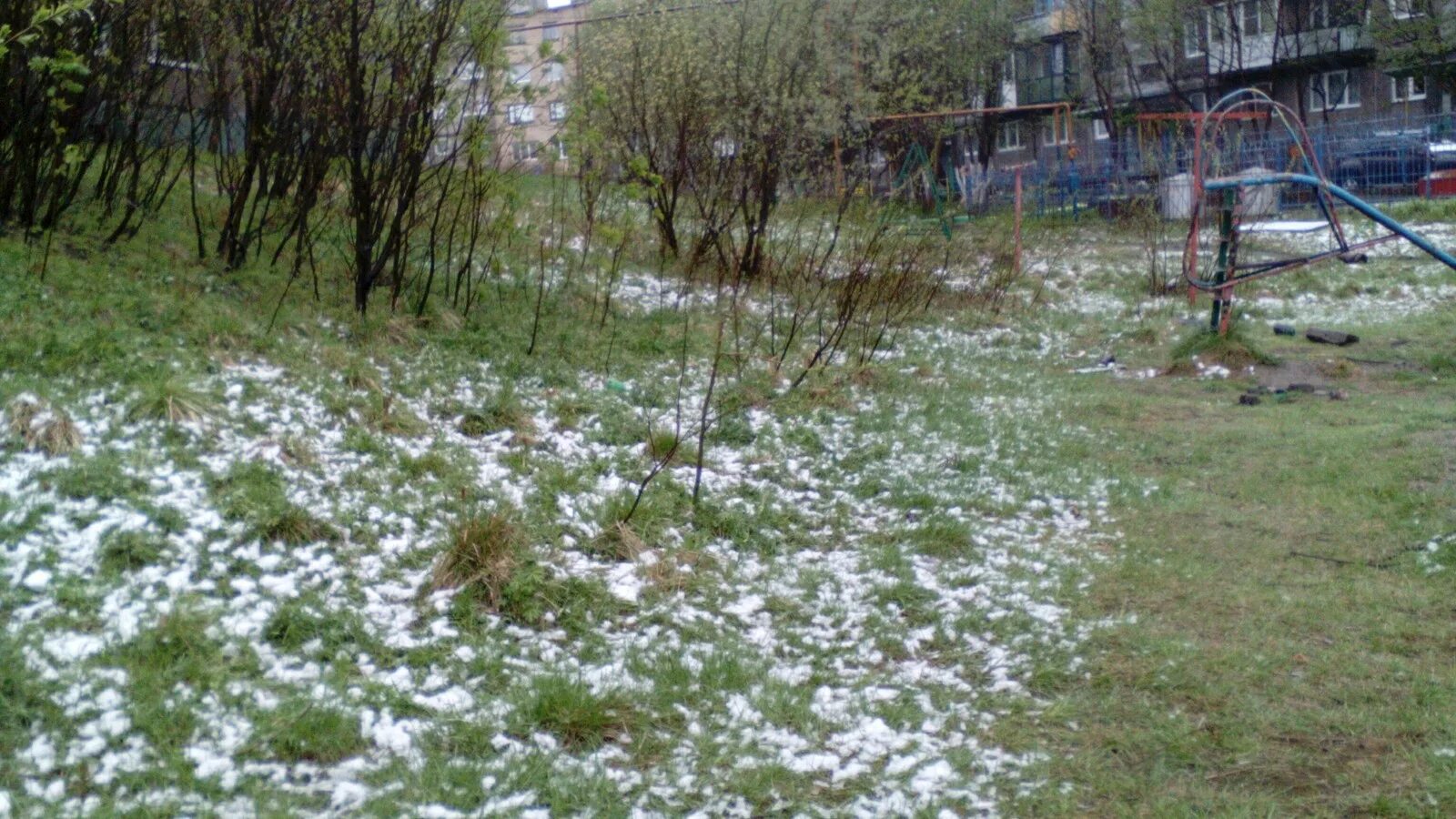 Снег летом. Снег летом в Мурманске. Мурманск снег в июне. Мурманск лето снег. Теплый летний снег