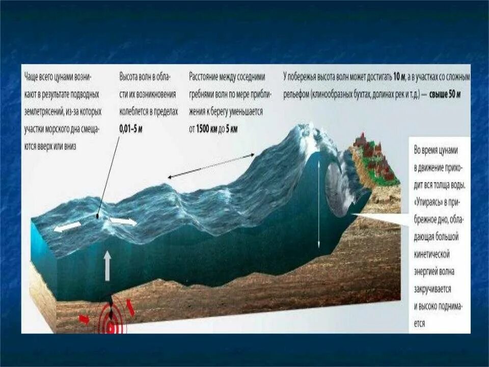 Волна землетрясения. ЦУНАМИ. Скорость распространения ЦУНАМИ. Высота ЦУНАМИ. Высокие волны ЦУНАМИ наблюдаются.