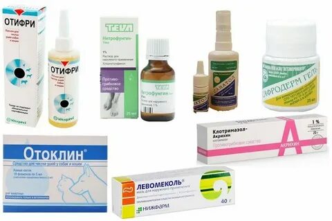 Народное лечение отита у взрослых