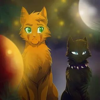Коты воители фото