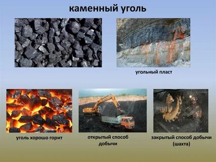 Каменный уголь какой вид полезных ископаемых