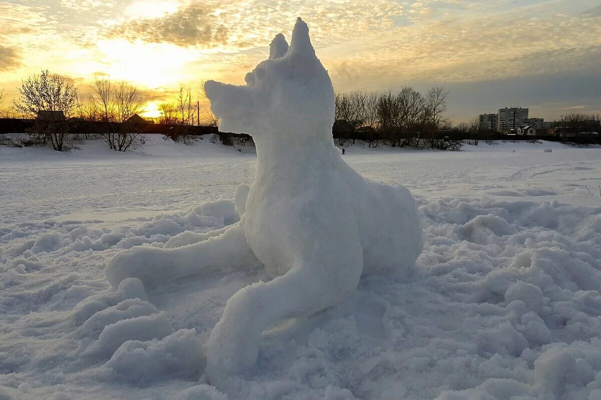 Фигуры из снега. Фигуры на снегу. Волк из снега. Скульптура кота из снега. Снежные фигуры из снега профессиональные.