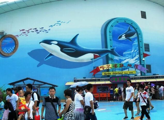 Океанариум якутск. Океанариум харбин. Harbin polarland н. Океанариум харбин. Полярный океанариум в харбине.