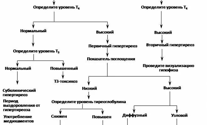 Низкий ТТГ при нормальном т4 и т3 у женщин. ТТГ норм т3 и т4 понижен. Трийодтиронин Свободный т4 норма. Низкий ТТГ при нормальном т4 и т3 у ребенка.