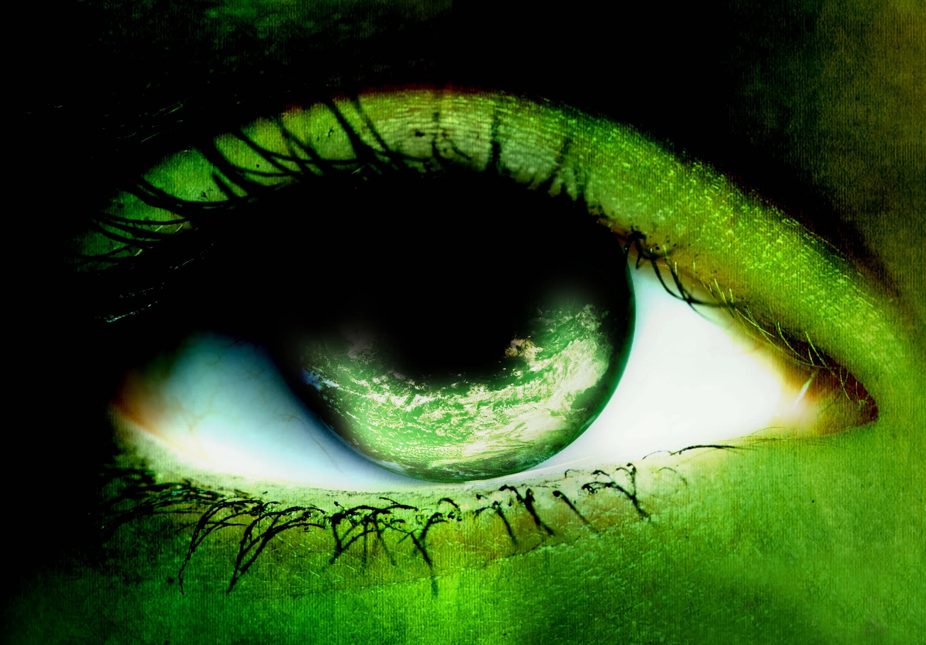 мир зеленых глаз. изумрудно зеленый цвет глаз. мир зеленых глаз. ярко зеленые глаза. зелено карие глаза.