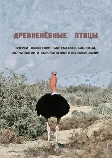 Птицы в биологической систематике 5 букв