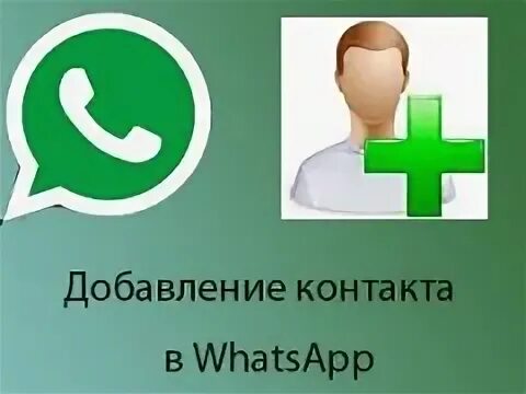 Как найти друзей в ватсапе. Как найти друзей в ватсапе