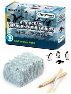 Юный археолог