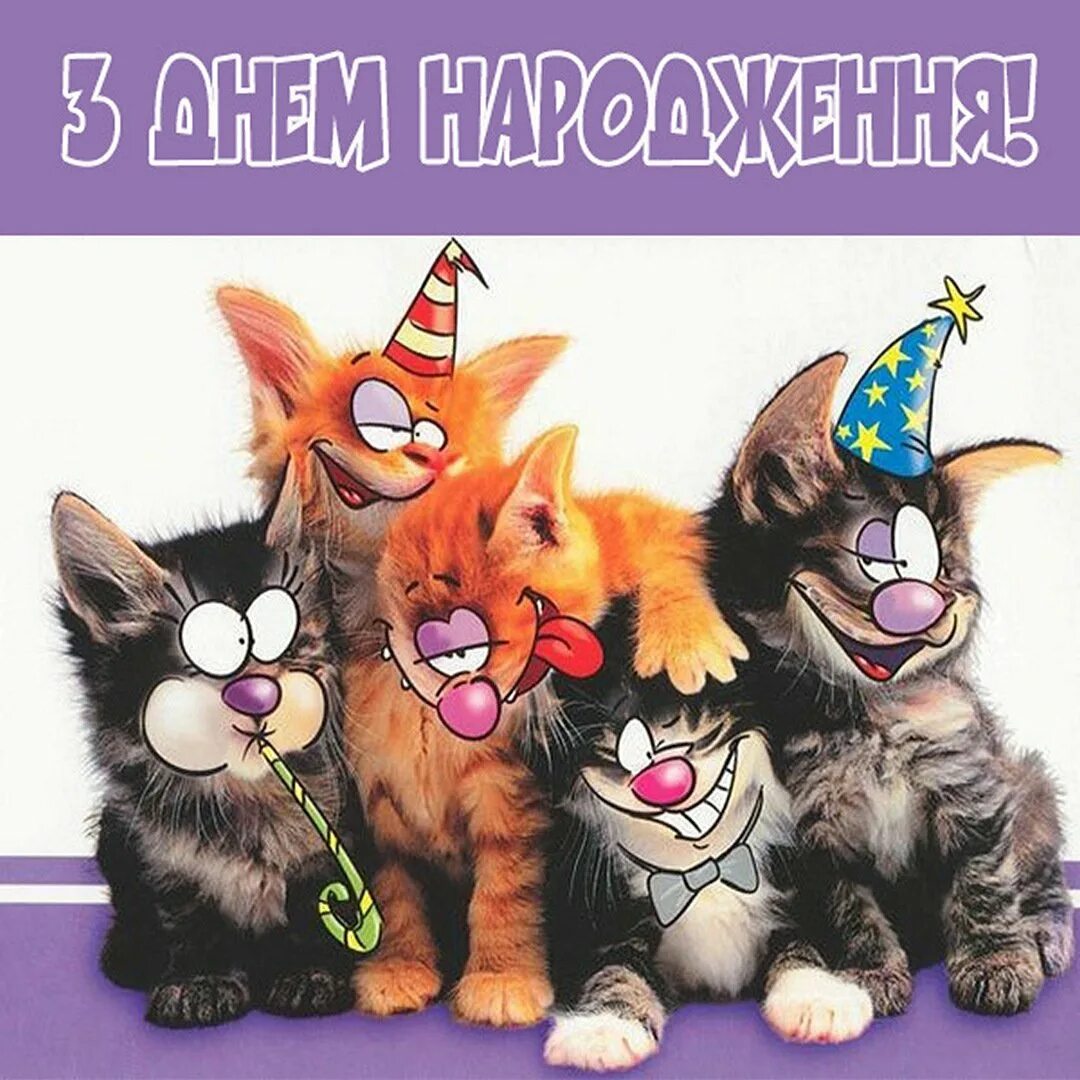 Юмор поздравления с днем рождения картинки. Веселые открытки с днем рождения. Смешные открытки на др. Смешные открытки с днём рождения мужчине. Открытка с днем рождения смешной кот.