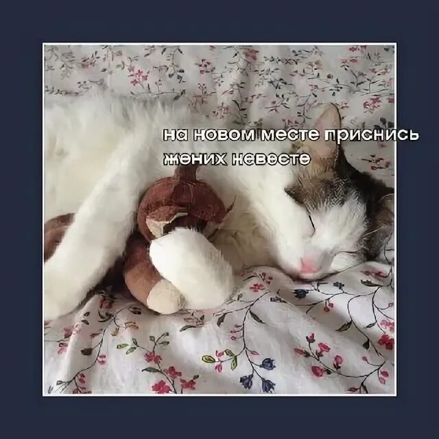 пусть на новом месте приснись жених. заговор чтобы сниться любимому мужчине. сплю на новом месте приснись жених невесте. на новом месте приснись. что говорить когда спишь на новом месте.