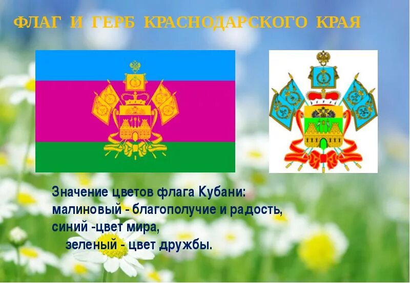 Флаг краснодарского края. Герб кубани символика. Символика герба краснодарского края. Герб кубани описание. Флаг краснодарского края.