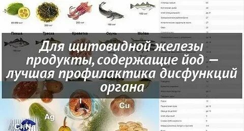 Продукты содержащие много йода
