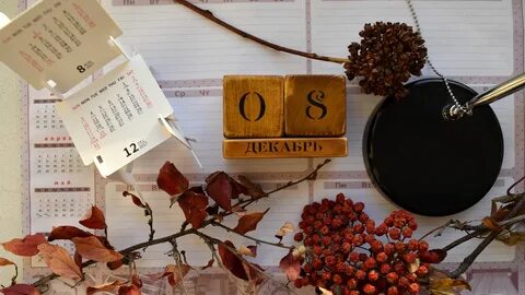 8 декабря 2016 г