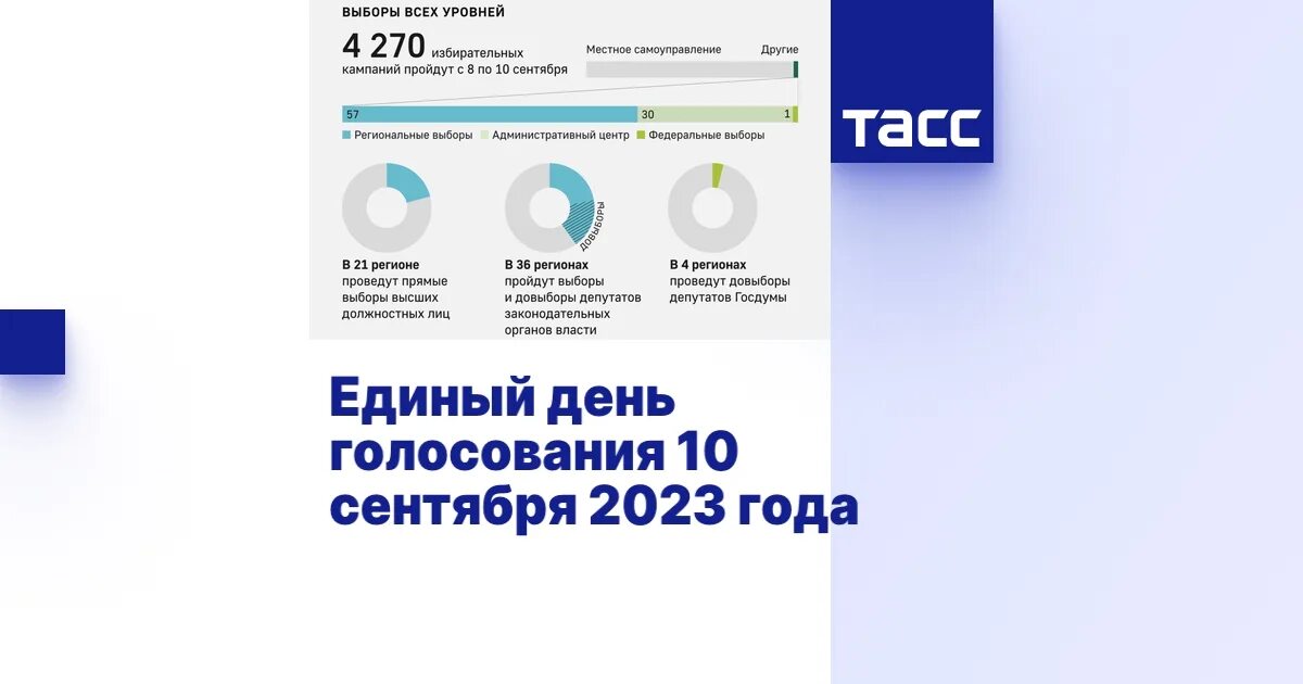 ТАСС инфографика. ТАСС инфографика 2023. Выборы 10 сентября 2023. ТАСС инфографика 2024 год. Голосование 10 часов