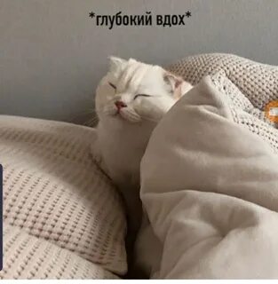 Спокойно ровно