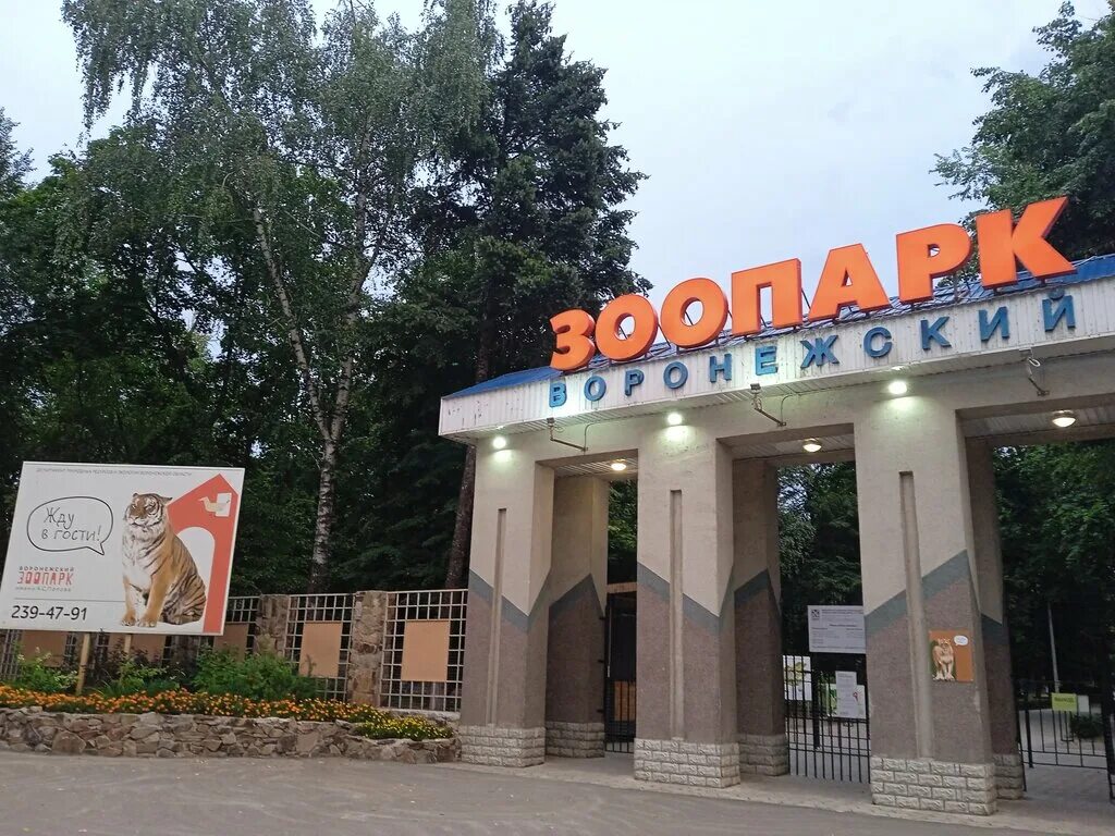 Зоопарк левый берег. Воронежский зоопарк (ул. Полины Осипенко, 6а). Воронежский зоопарк Воронеж. Зоопарк имени Попова в Воронеже. Воронежский зоопарк на левом берегу.