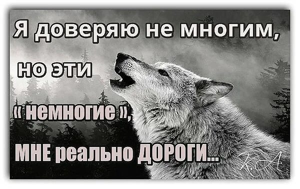 Френч не верь никому. Не доверяй никому. Не доверять никому картинки. Много доверял. Никому не верь.